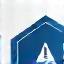Icon representing Risk Management Advisory service